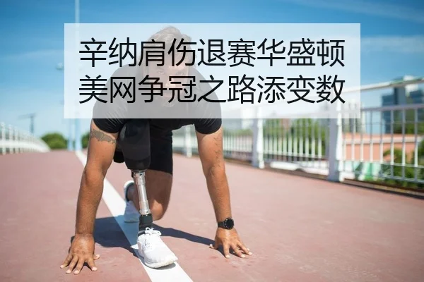 辛纳肩伤退赛华盛顿 美网争冠之路添变数